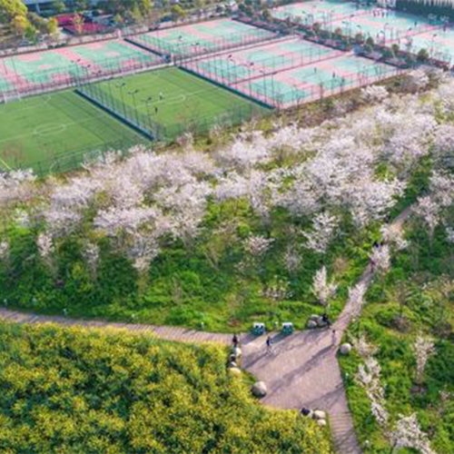 大學简介