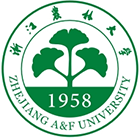 中国最美大學