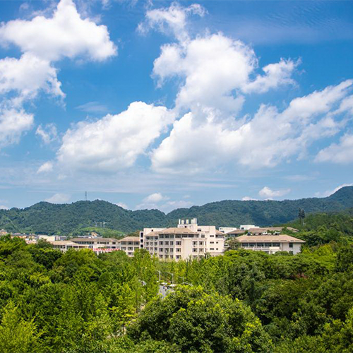 最美校园