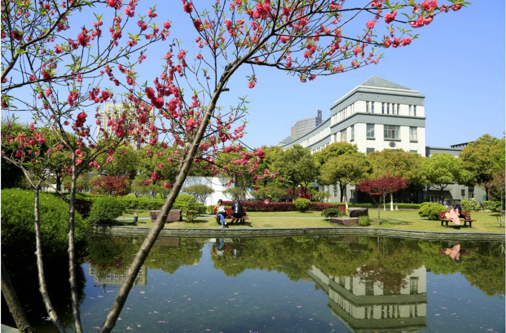 浙江中医药大学 我的大學