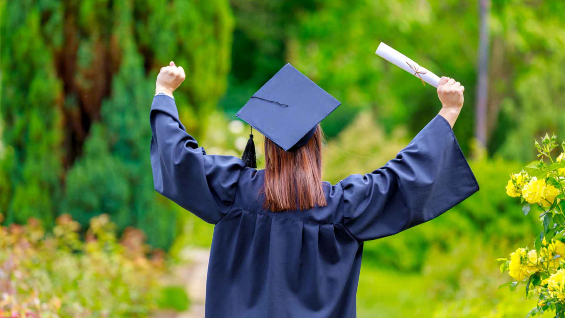 2025年 · 高职 · 单考单招 · 提前招