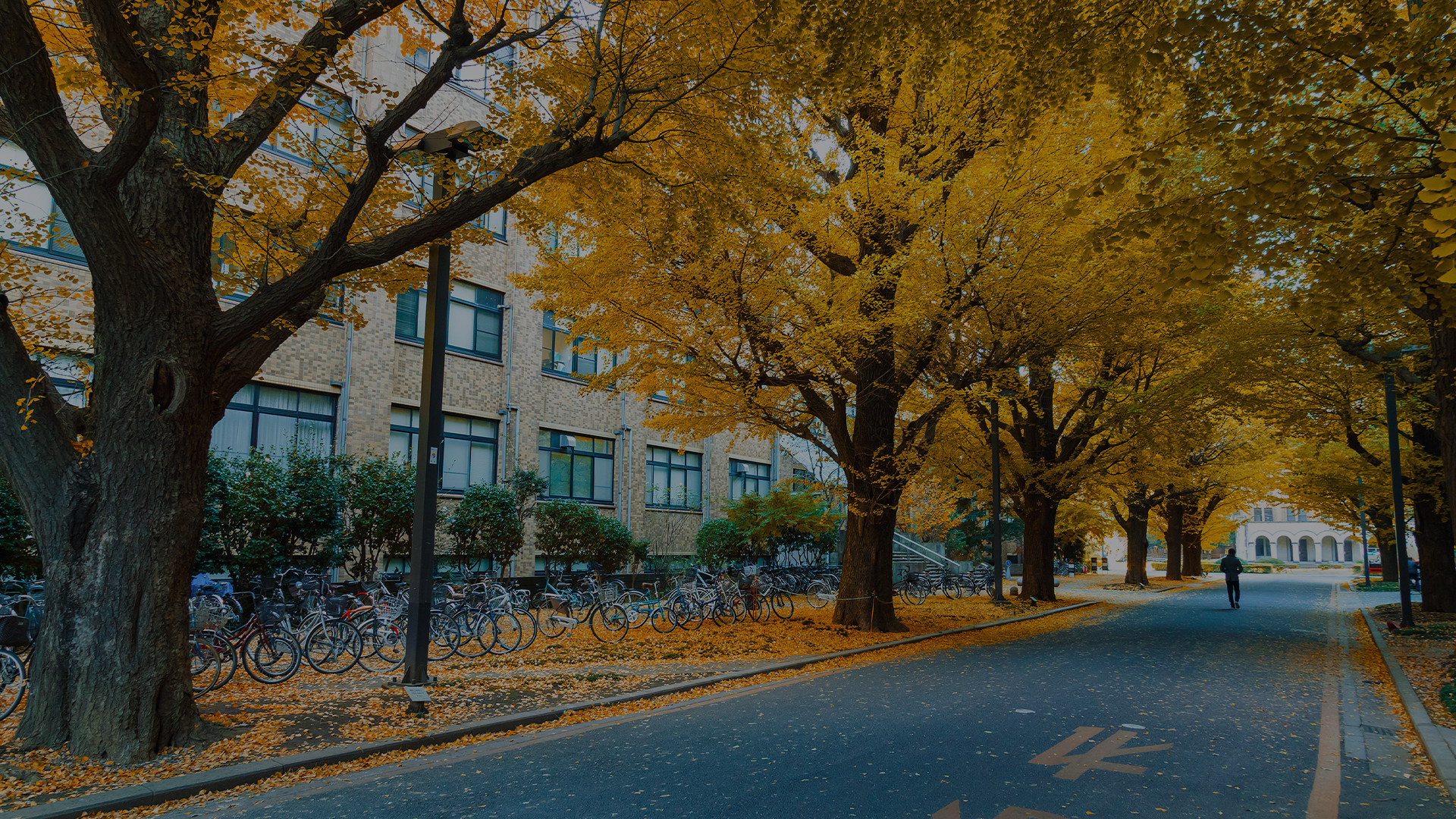 祖国大陆高校面向华侨香港澳门臺湾地区招生资讯